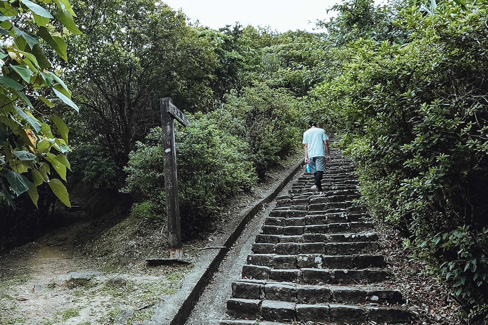 基隆山｜有點辛苦的石階梯、眺望基隆嶼⛰