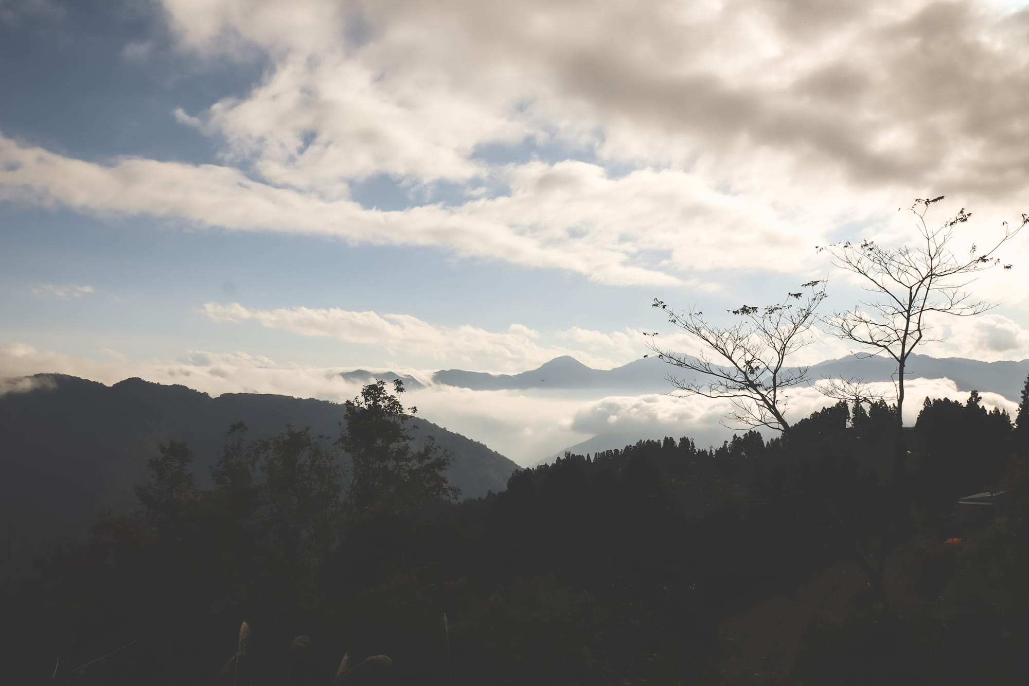 塔曼山｜一個人的山旅行⛰ / 魔幻森林🌲 / 安靜到不可思議的山林😲