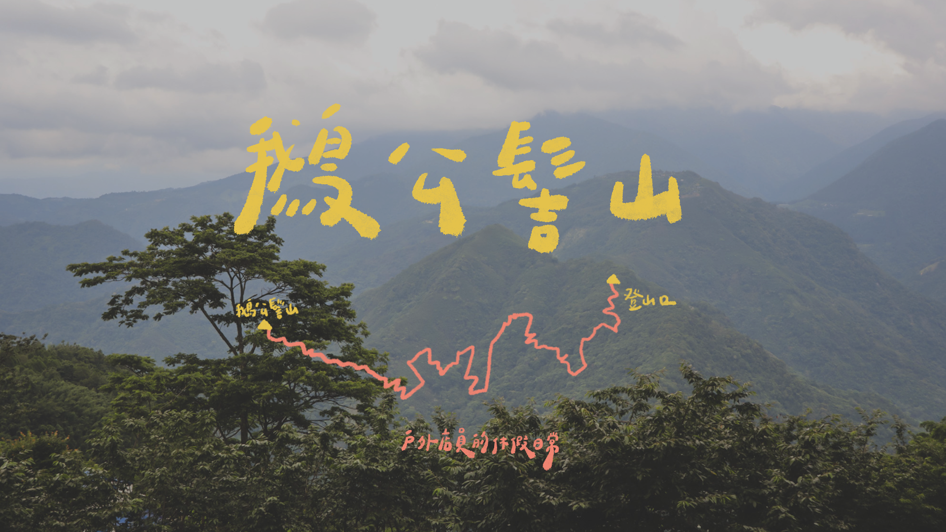 鵝公髻山｜一個人的山旅行⛰ / 滿滿柳杉林🌳 / 全程樹林遮蔭避暑🍂