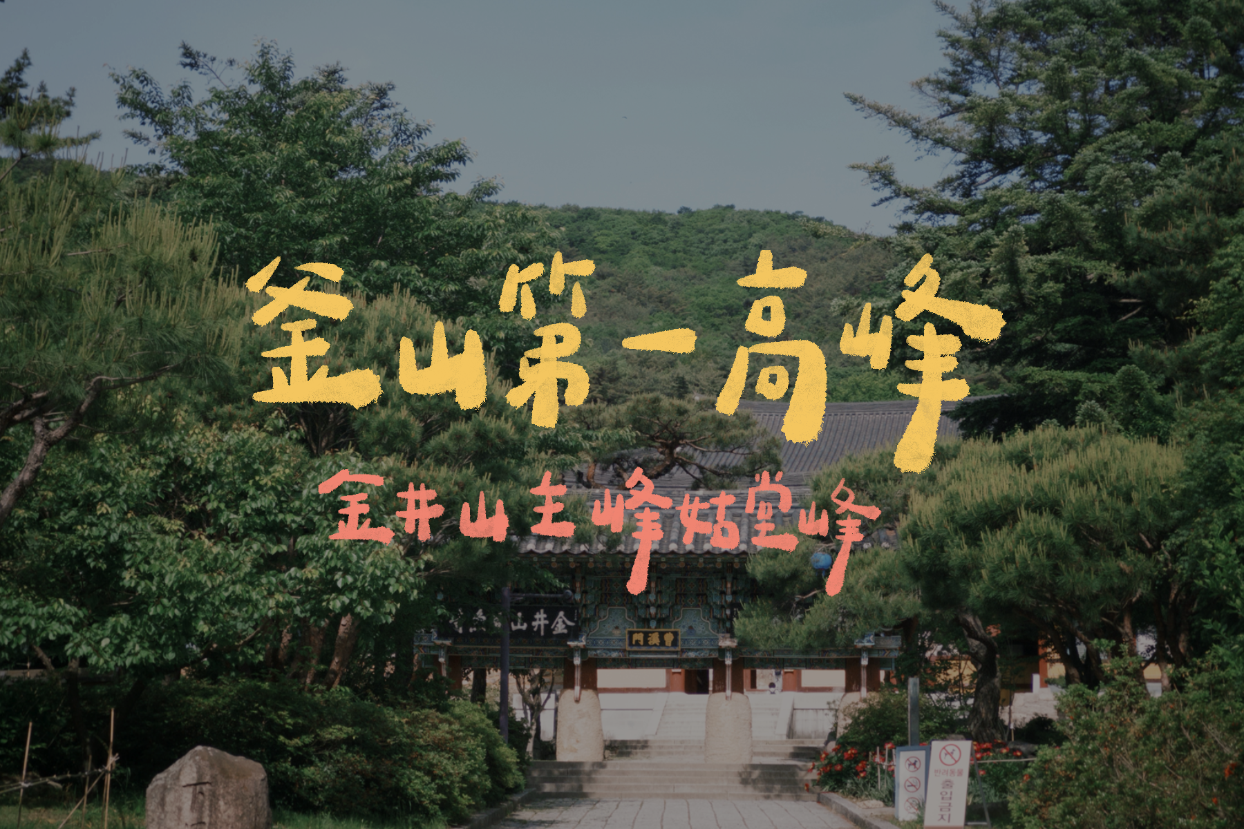 金井山姑堂峰|釜山第一高峰🌸 / 一個人的山旅行⛰ / 金井山城北門超震撼⭐ / 360度山海美景🌳 /