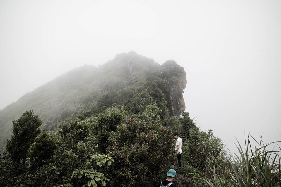 鋸齒稜|雲霧中的黃金六稜